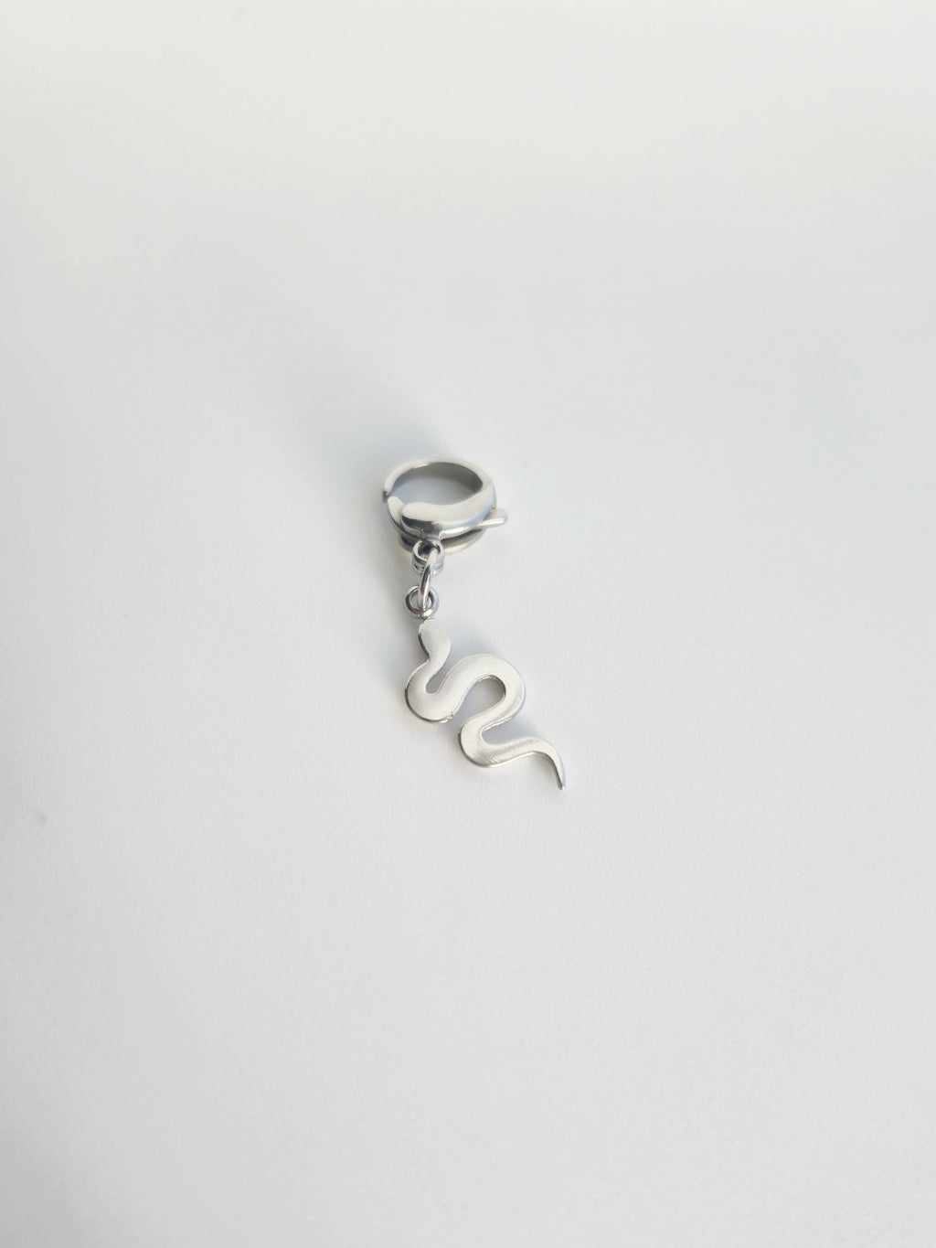 Charm Serpent en Acier Inoxydable