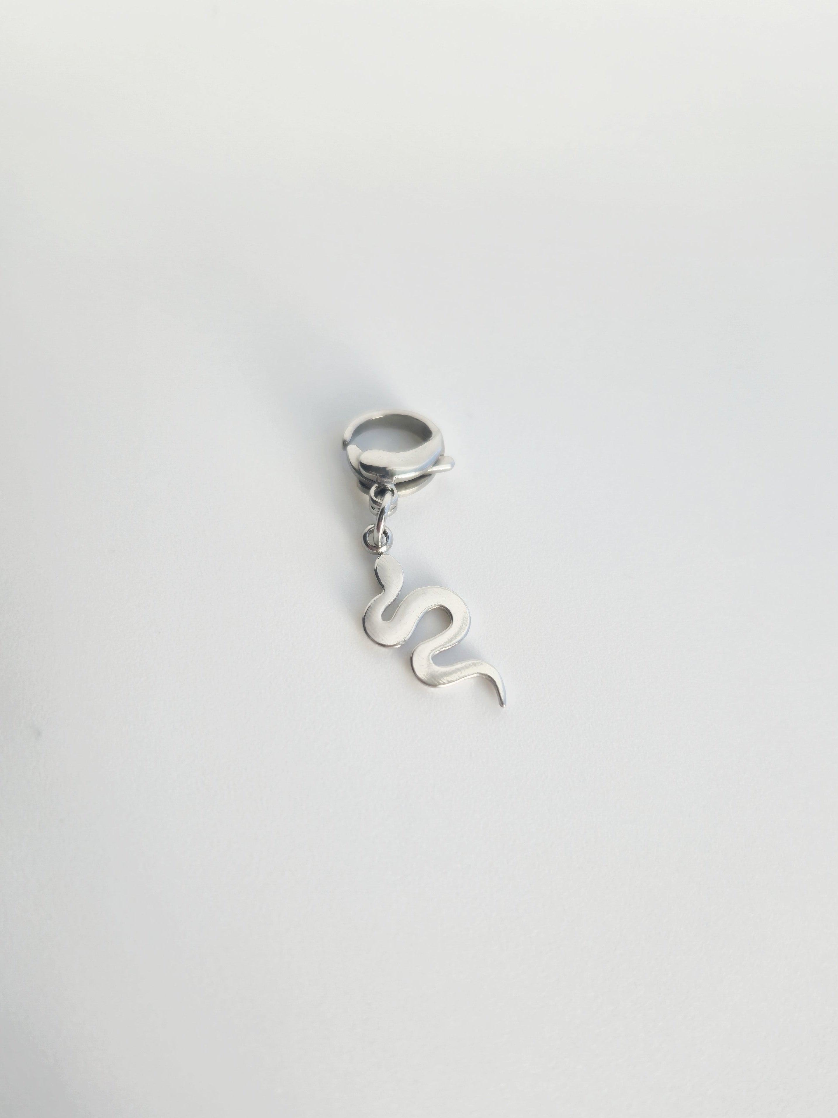 Charm Serpent en Acier Inoxydable