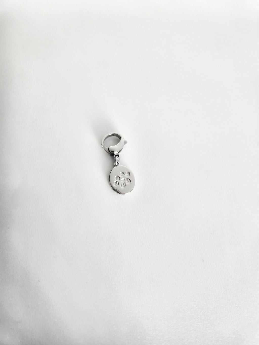 Charm patte de chat chien en Acier Inoxydable