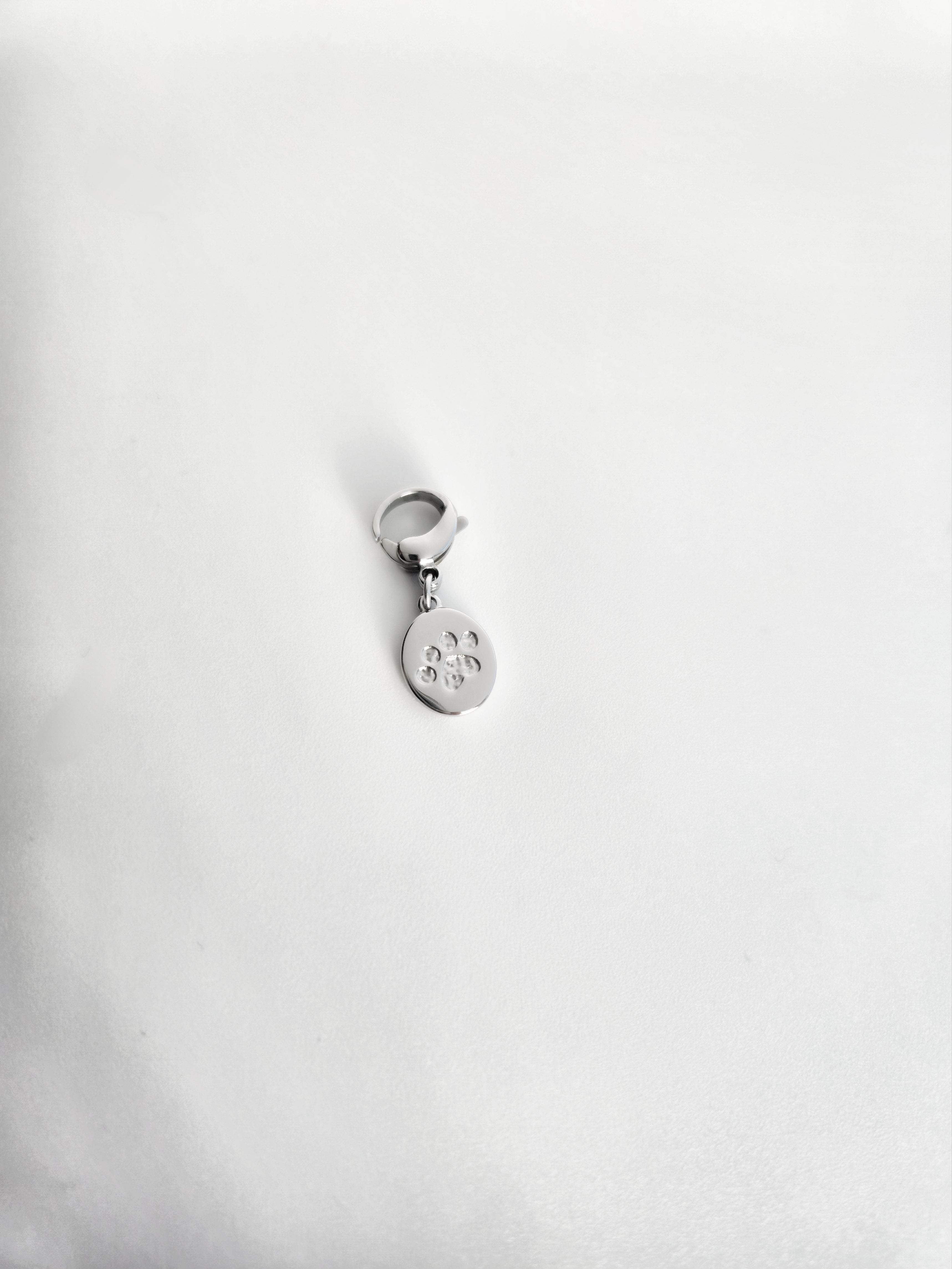 Charm patte de chat chien en Acier Inoxydable